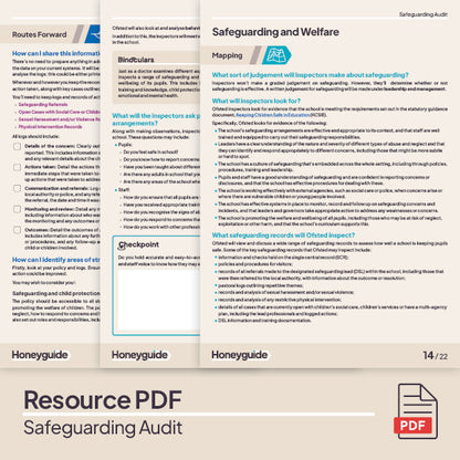 Safeguarding Audit