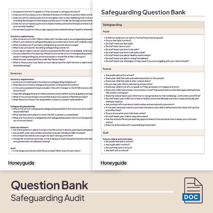 Safeguarding Audit