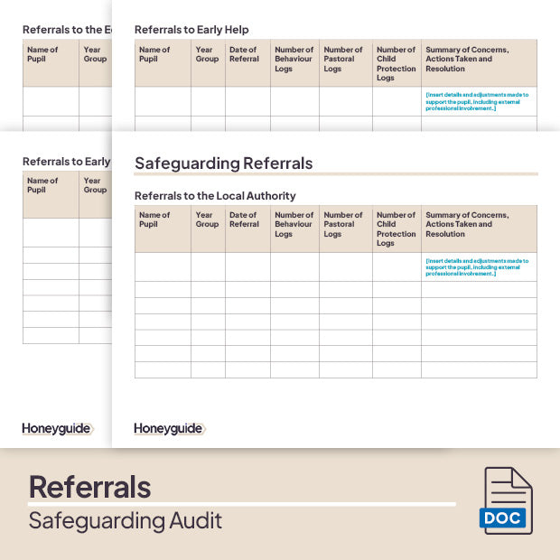 Safeguarding Audit