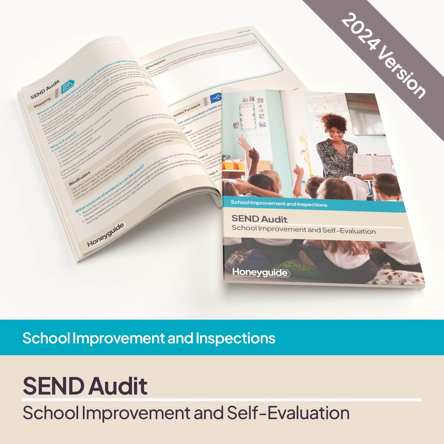 SEND Audit (2024 Framework)