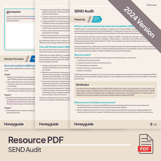 SEND Audit (2024 Framework)