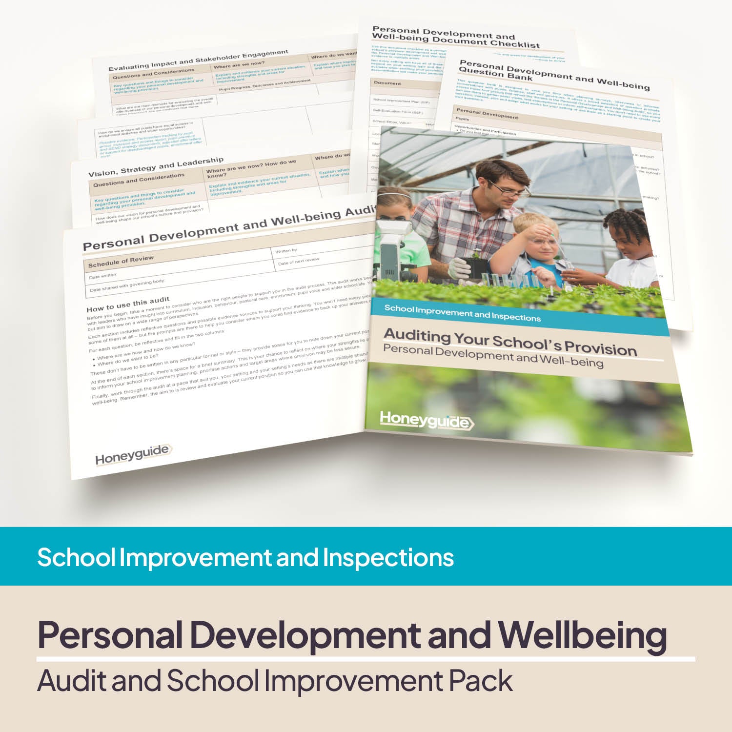 Personal Development and Wellbeing Audit Pack