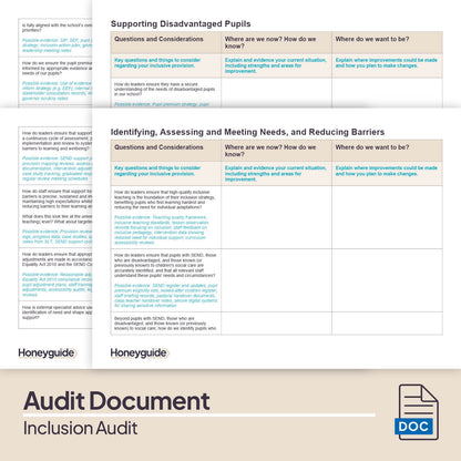 Inclusion Audit (2025)