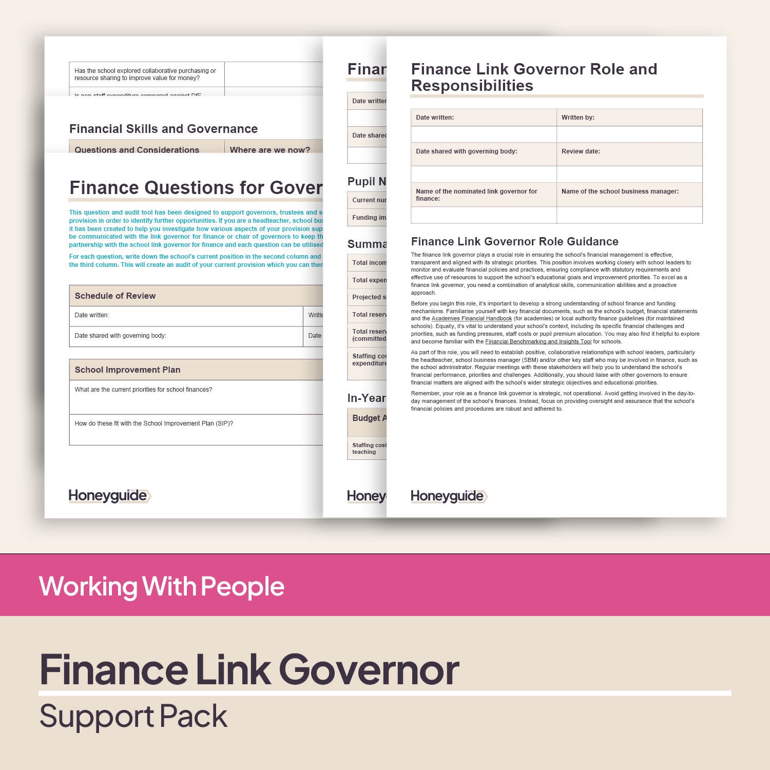Finance Link Governor Support Pack