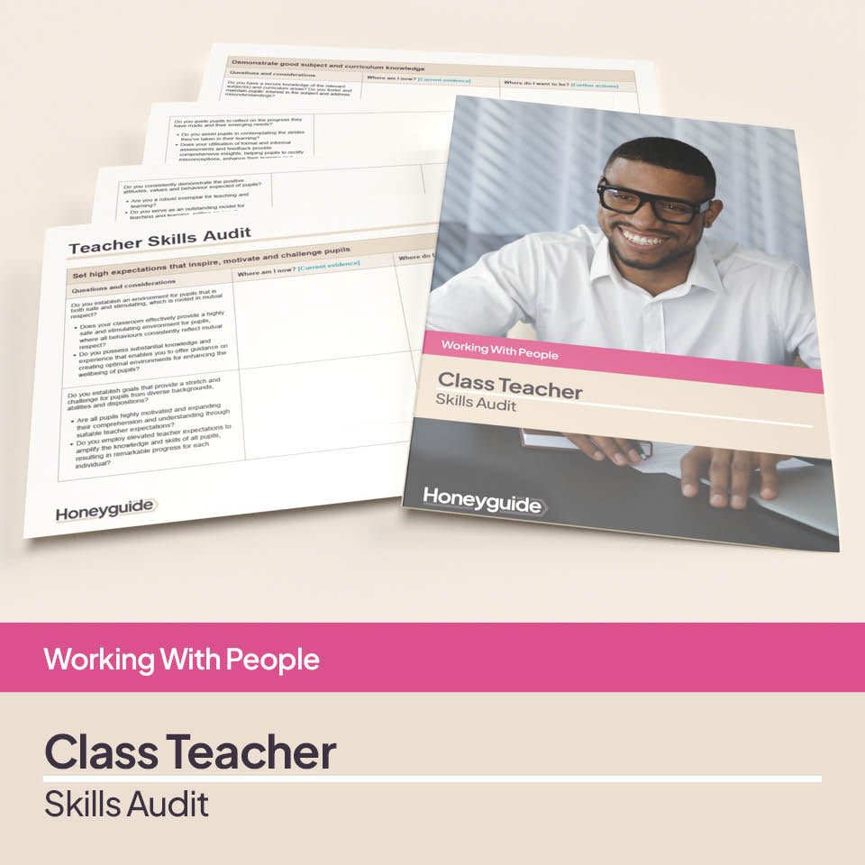 Teacher Skills Audit Pack