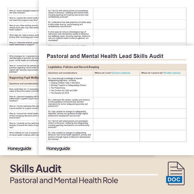 Pastoral and Mental Health Role Skills Audit Pack | Honeyguide SLS ...