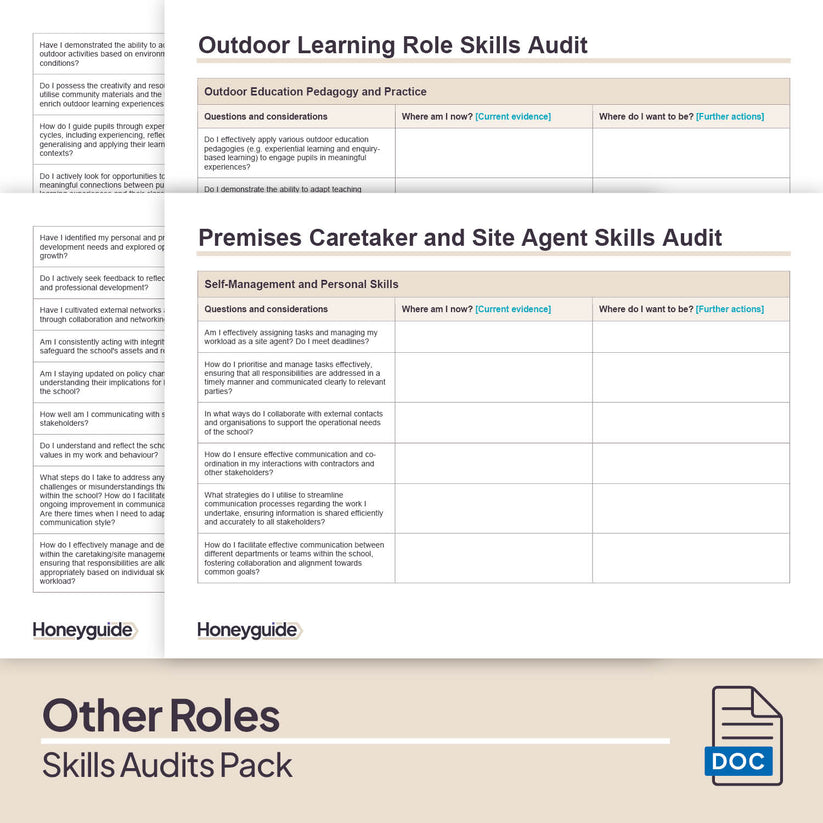 Skills Audits Pack - Complete Set for Multiple School Roles ...
