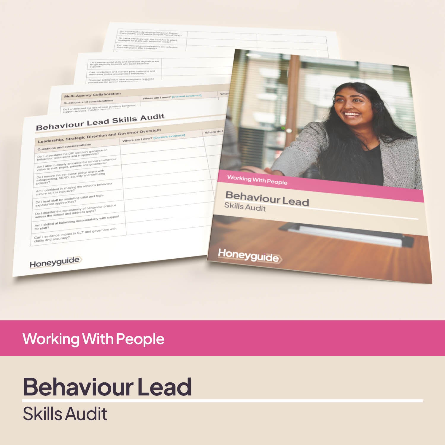 Behaviour Lead Skills Audit Pack
