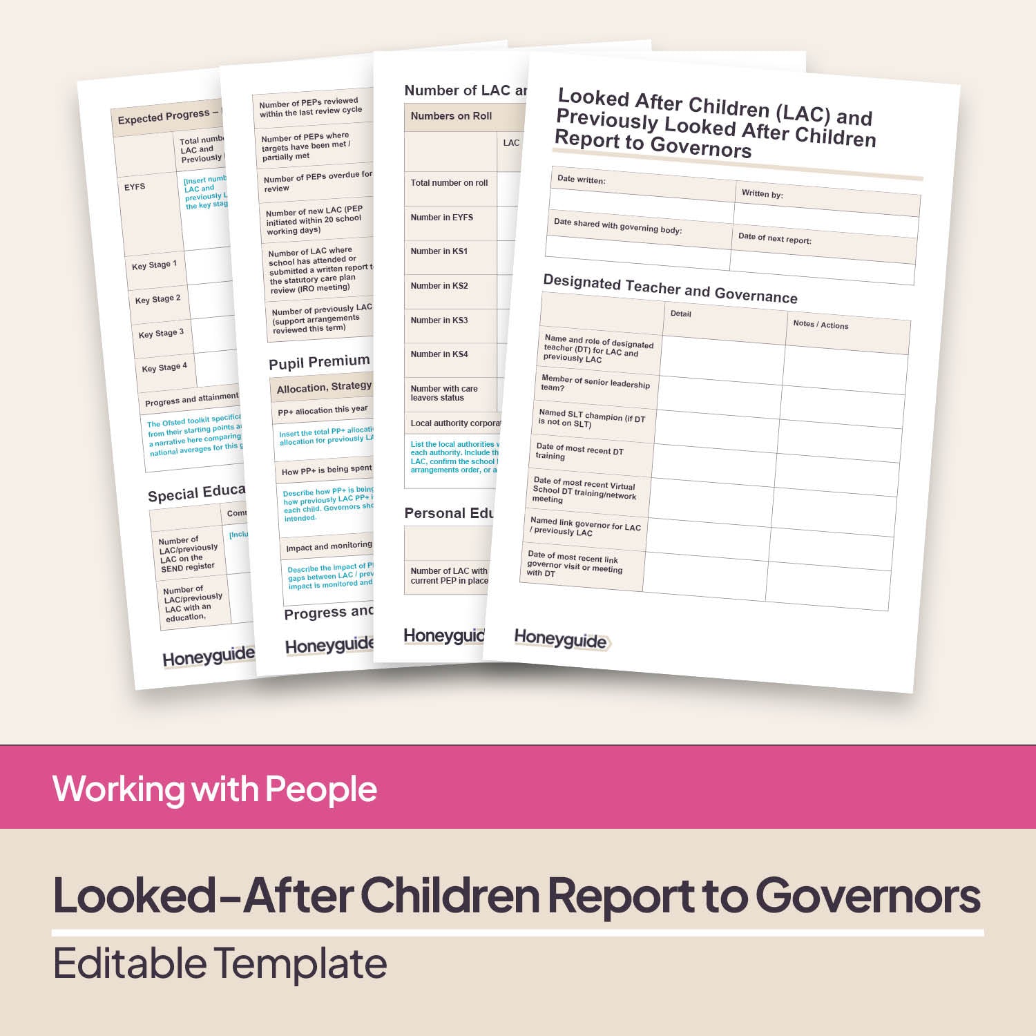 Looked-After Children Report to Governors Template
