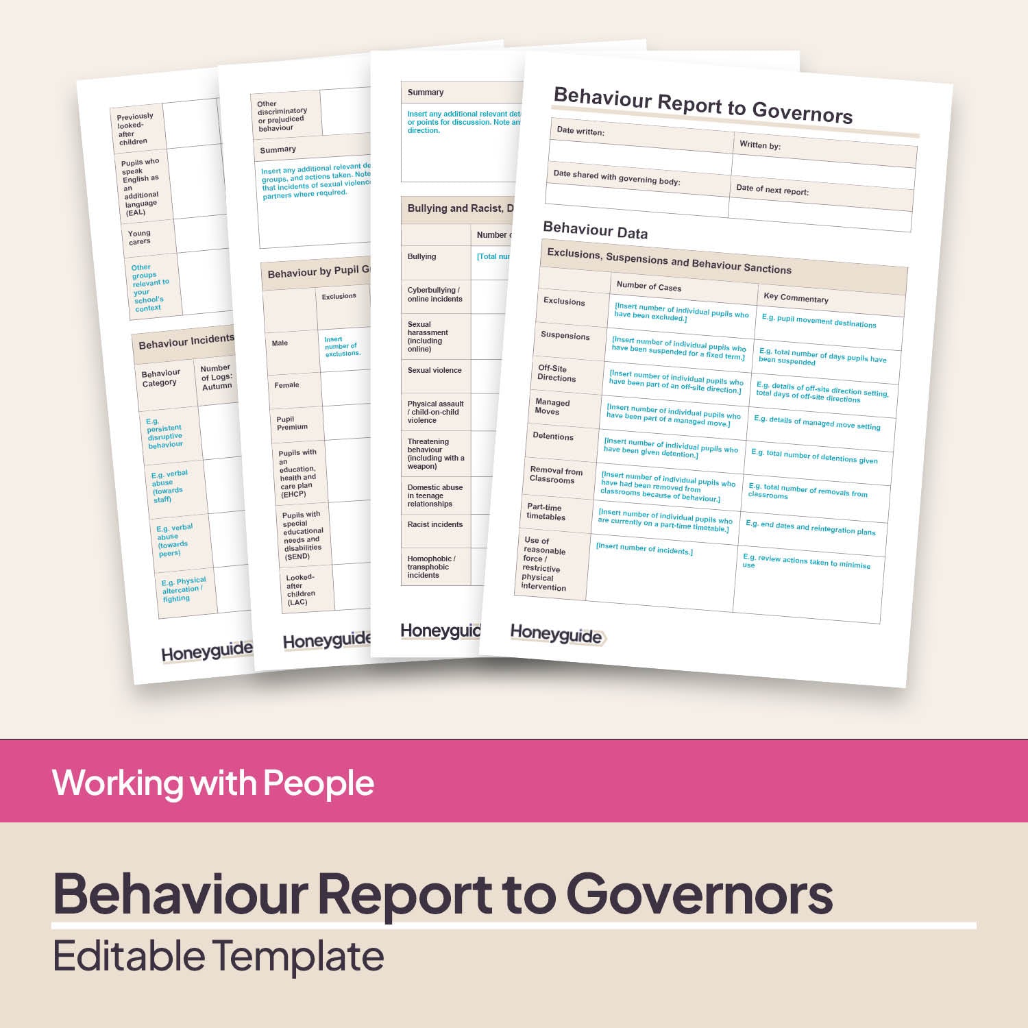 Behaviour Report to Governors Template